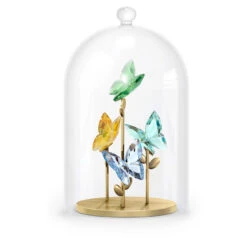 Swarovski Jungle Beats Butterfly Bell Jar, Multicolored, 5619219